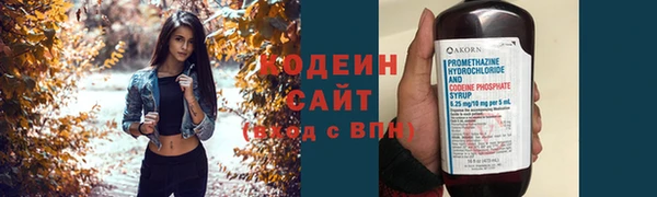 герыч Няндома