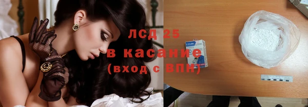 гашик Болотное