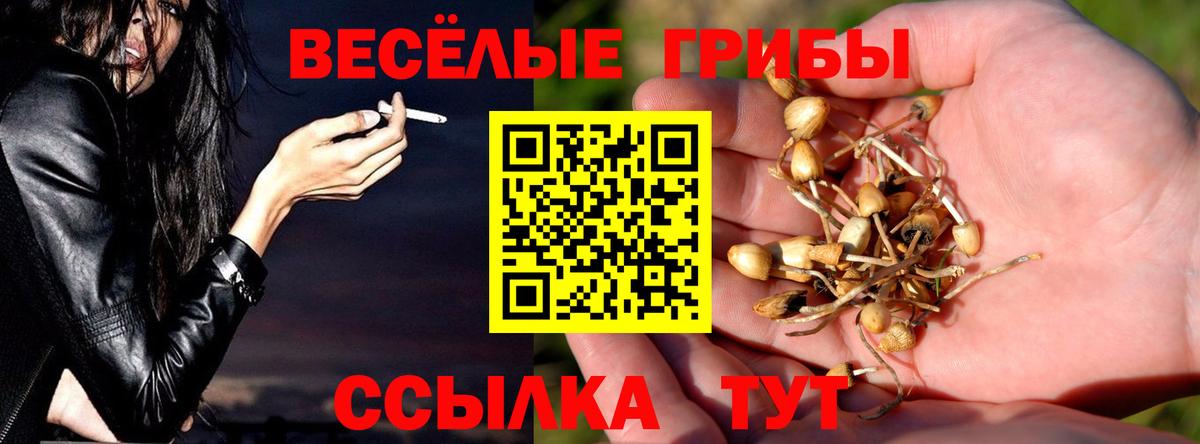 Усть-Кут  Галлюциногенные грибы MAGIC MUSHROOMS  Вход с VPN 